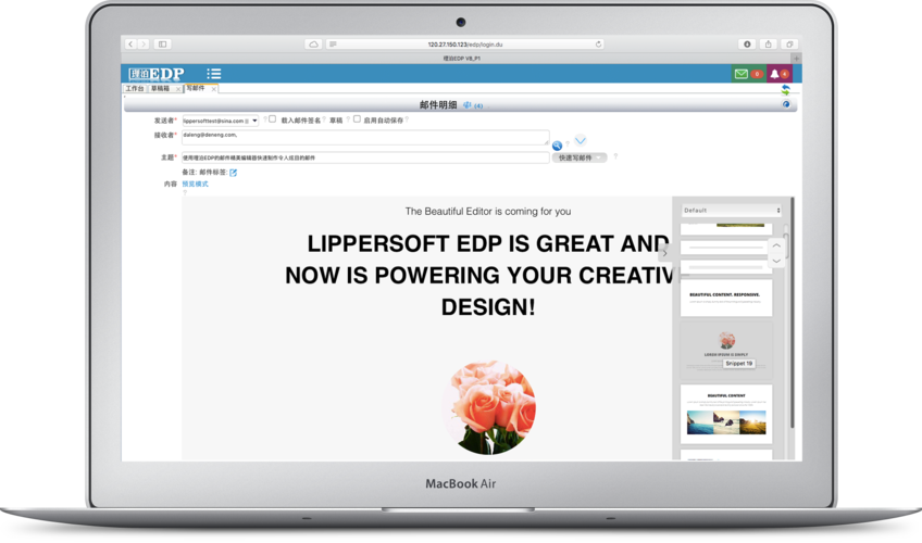 email官网入口:emailauth官网