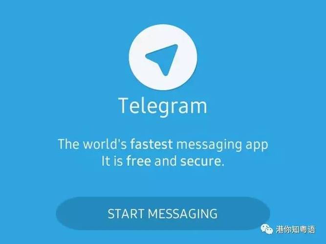 telegraph网页版登陆:telegraph中文官网入口