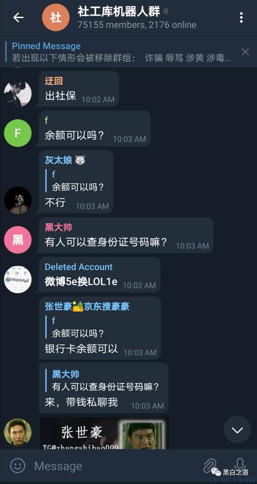 tg黑盒社工库下载的简单介绍