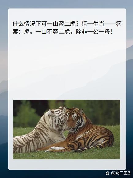 包含今期生肖战江湖最佳答案是什么的词条