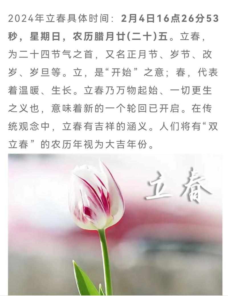 立春解什么肖:立春打一生肖或一数字