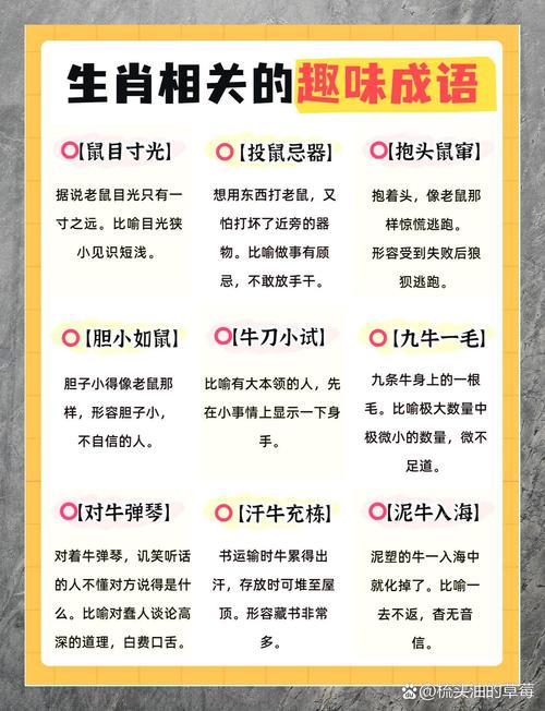 穷鼠啮狸打一生肖最佳答案的简单介绍