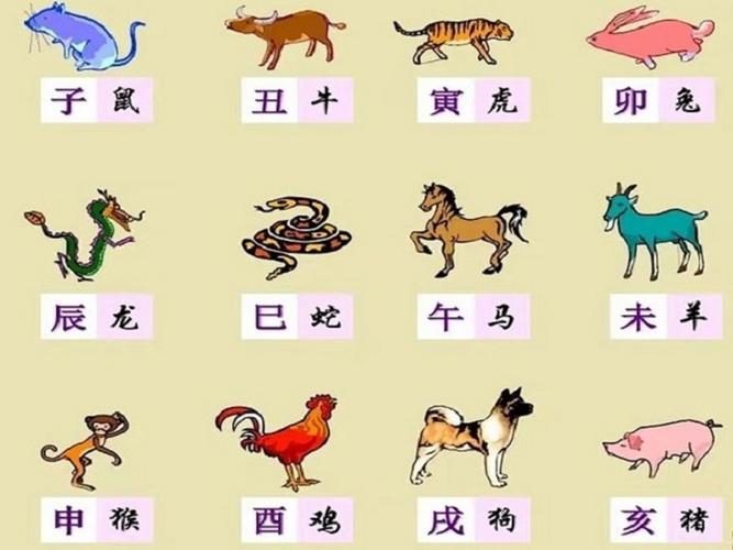 今期的生肖最好找是什么生肖:今期的生肖最好找是什么生肖的动物