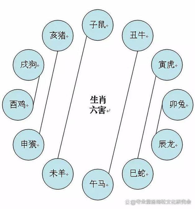 玄机看五八打一生肖:玄机是猜八,是什么意思啊