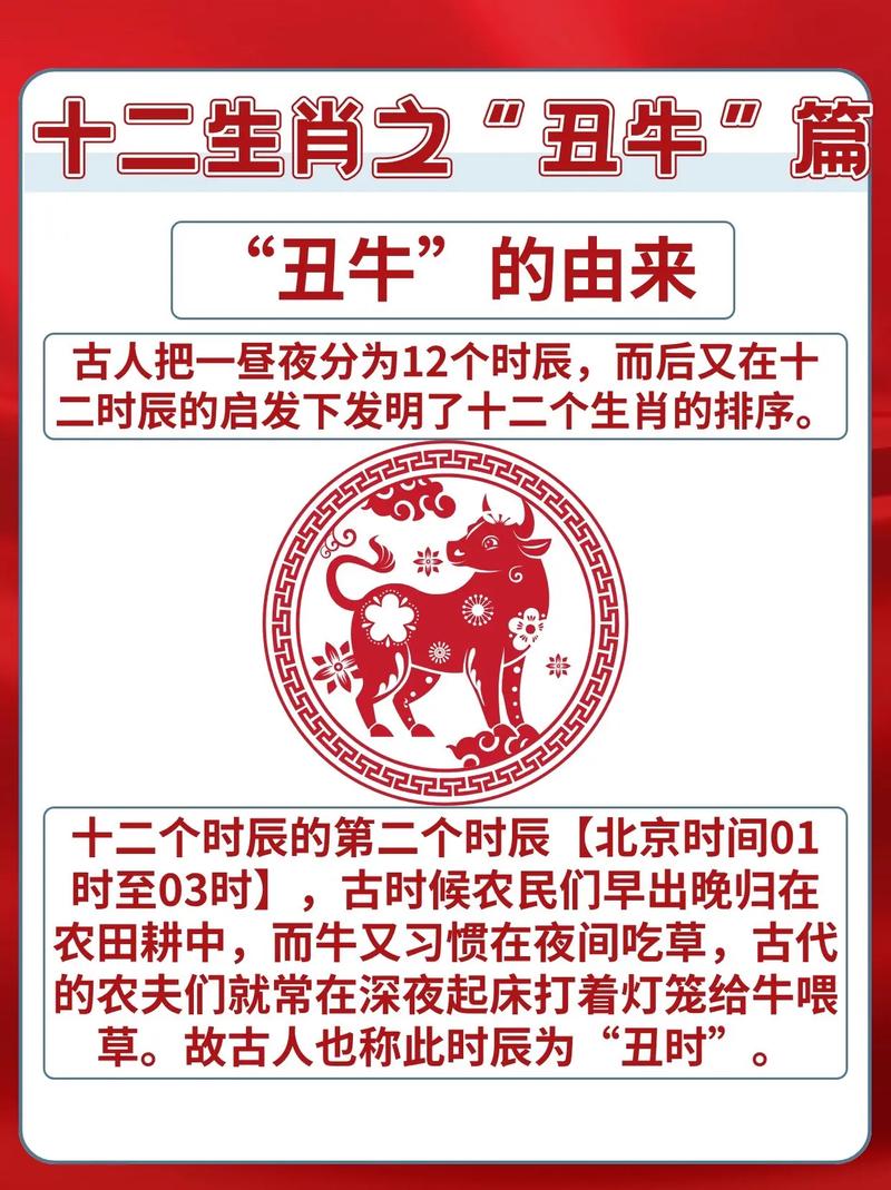 今期必中文丑打一动物:今期必中文丑属什么生肖