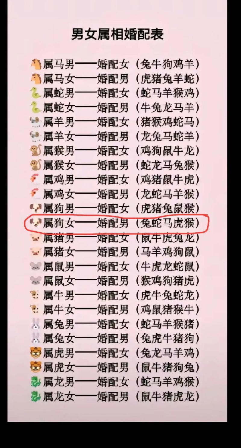 生肖猪男和什么生肖最配:属相猪女和什么属相最佳配偶