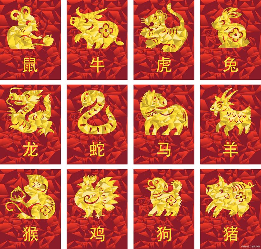 心打一生肖是什么动物:心代表什么生肖最佳答案