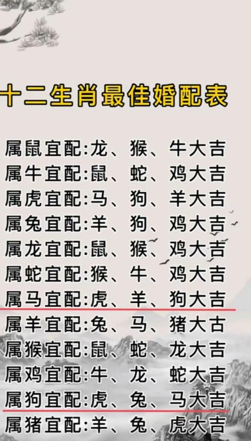 马男和什么生肖最配:男属马女属狗的婚姻相配吗