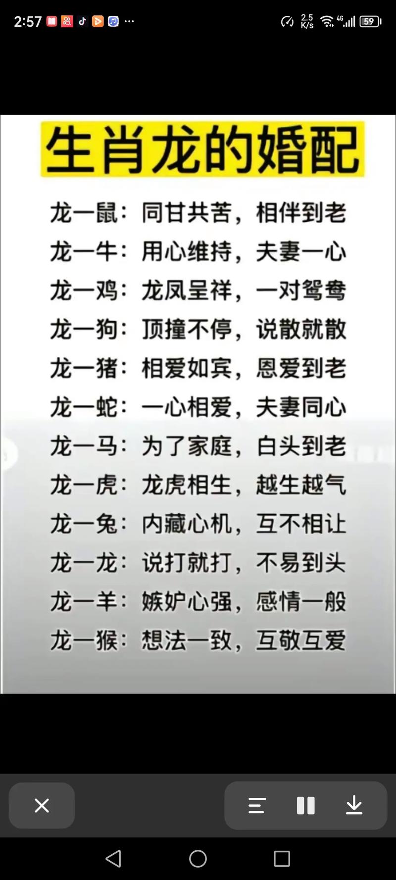 什么生肖跟龙相配:什么生肖跟龙相配婚姻