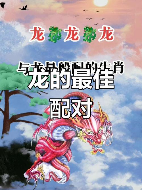 属龙和什么生肖最般配:属龙的和什么生肖能配最佳