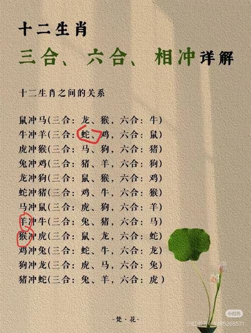 今期最佳生肖答案:今期生肖最出名是什么生肖?