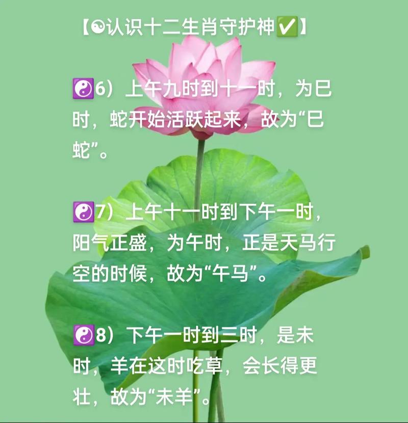 巳时什么生肖最聪明呢:巳时什么生肖最聪明呢图片