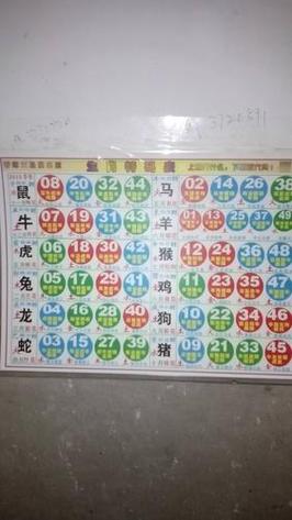 今期玄机三点九打一数字:今期三九定有尾是哪一个生肖