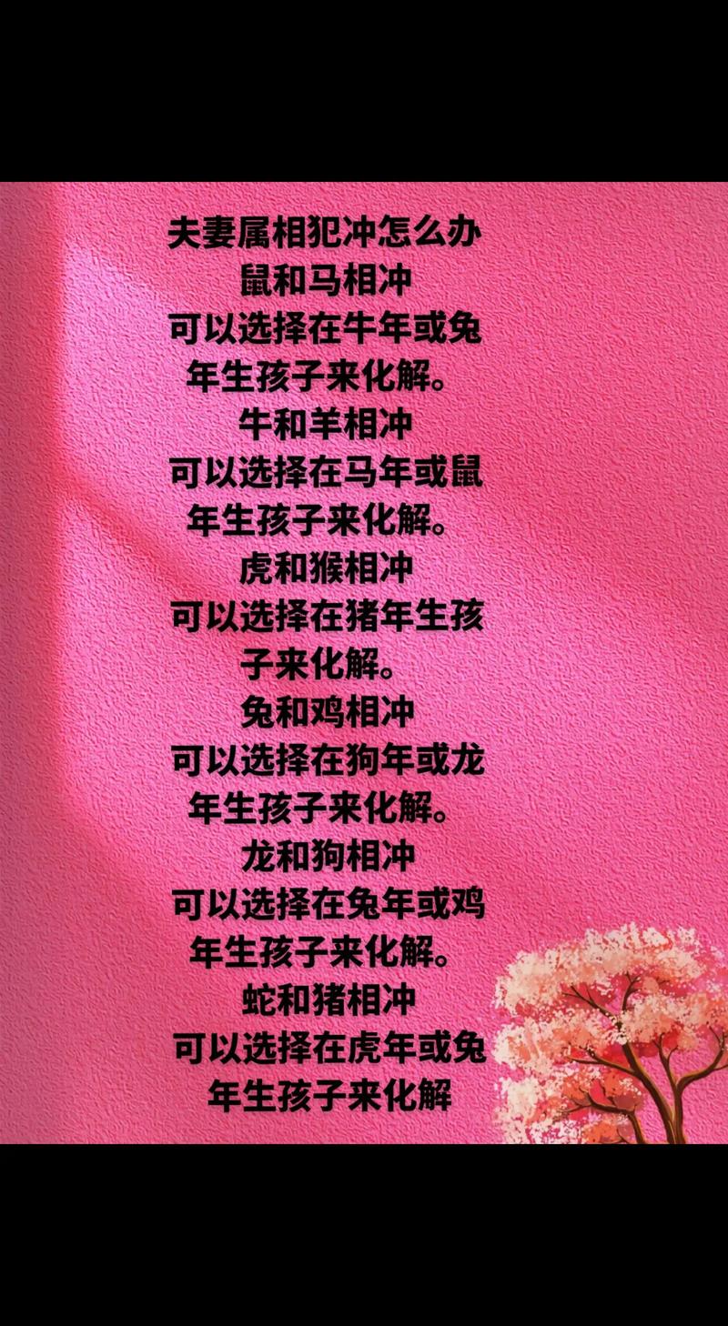 什么生肖充马:生肖冲马是什么意思