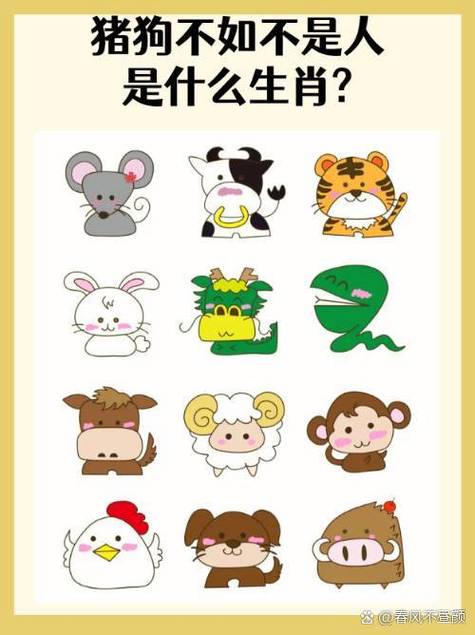 什么生肖最美丽指什么动物:什么生肖最美丽指什么动物呢