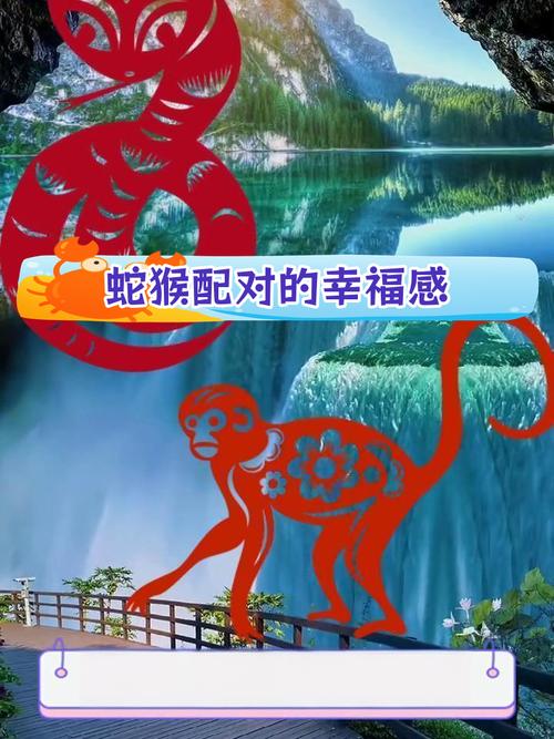 猴蛇共舞看今期代表什么生肖:猴蛇共舞看今期代表什么生肖动物