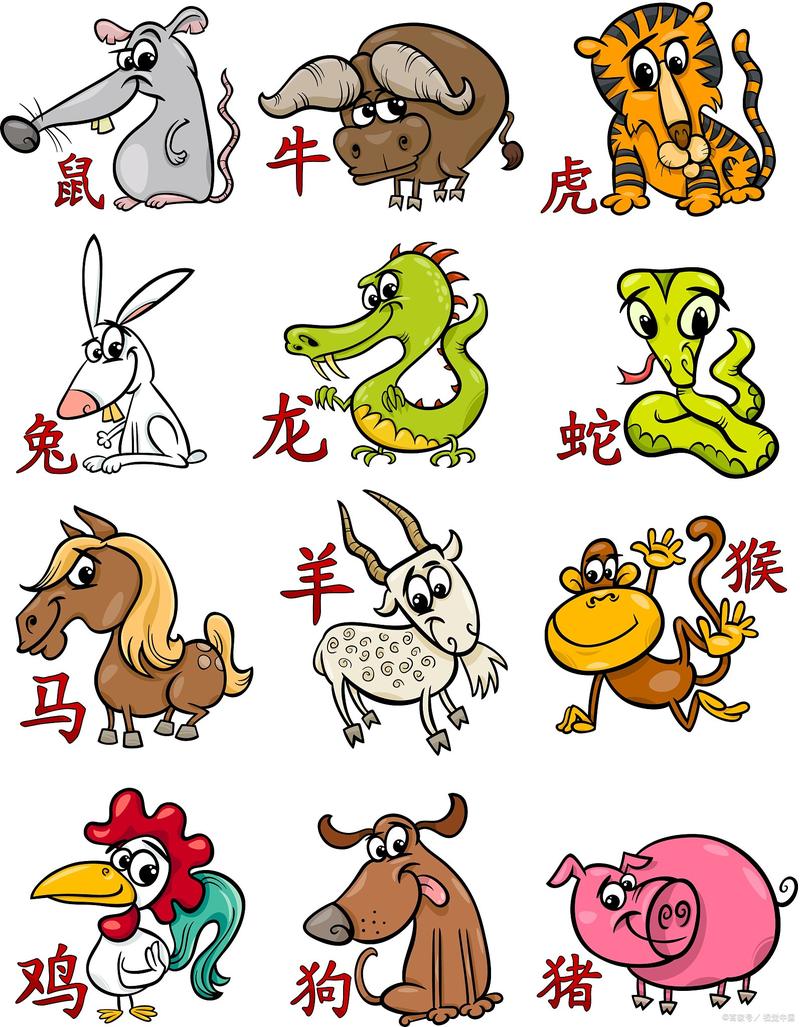 虚名在外打一生肖准:虚名在外比喻什么生肖