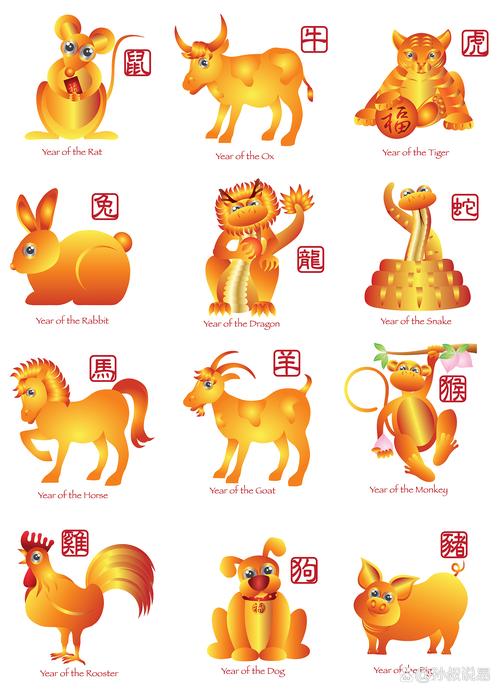 望打一生肖是什么:望到底代表什么生肖