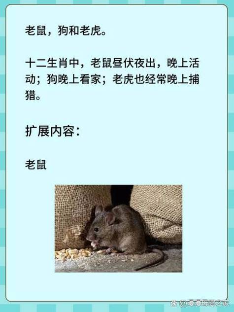 关于今期生肖分飞燕十只老鼠九只奇的信息