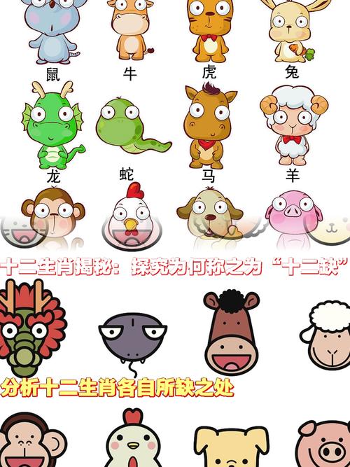 今期生肖在一头打一动物:今期生肖要分清是什么生肖
