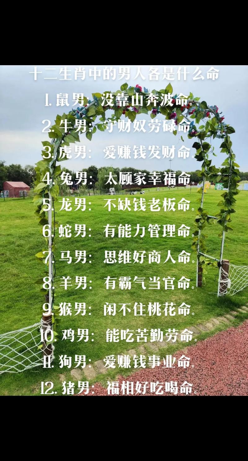 属什么生肖的男人命最好:十二生肖属什么的男人命最好