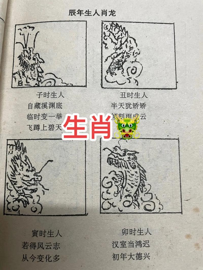 关于小肖今期开好码正确答案生肖动物的信息
