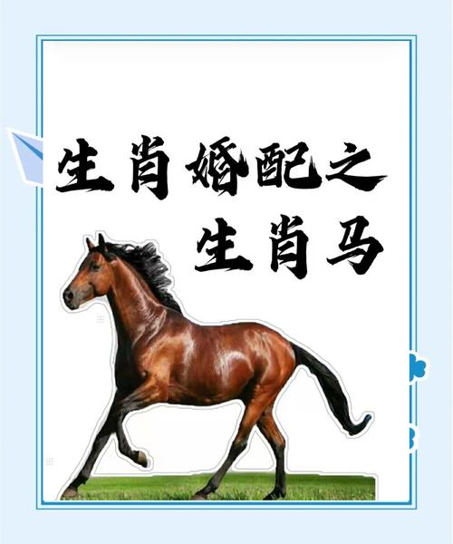 今期特马百年好正确答案:今期特马土中金打一生肖最佳答案