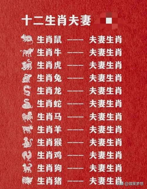 什么生肖和什么生肖最佳配:什么生肖和什么生肖最佳配对呢