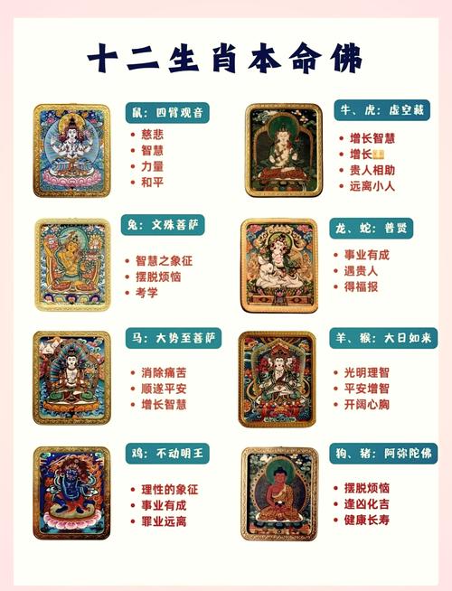 今期生肖猪狗明是什么动物:今期生肖猪狗明十全十美有几人打一生肖