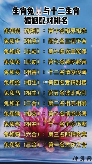 今期不送特是什么生肖兔:今期生肖不相宜是什么动物