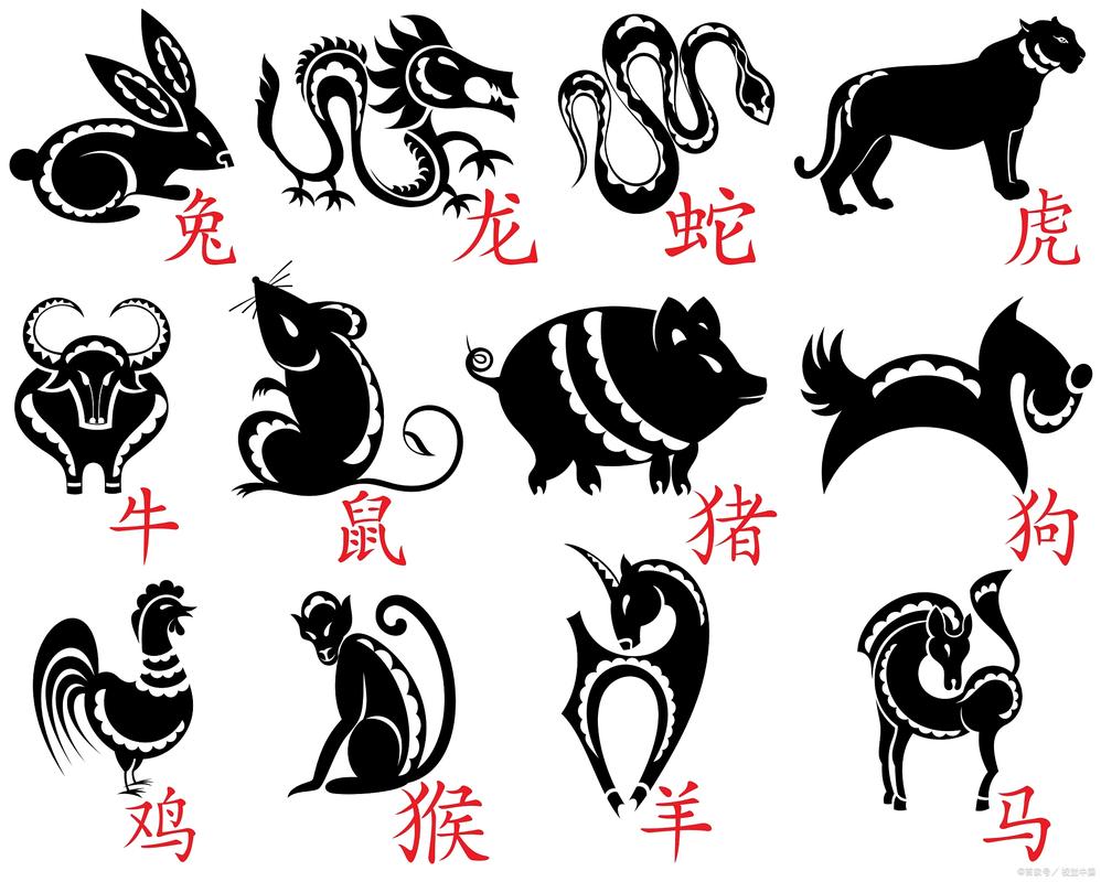 一只打一生肖是虎吗:十二生肖一只什么生肖