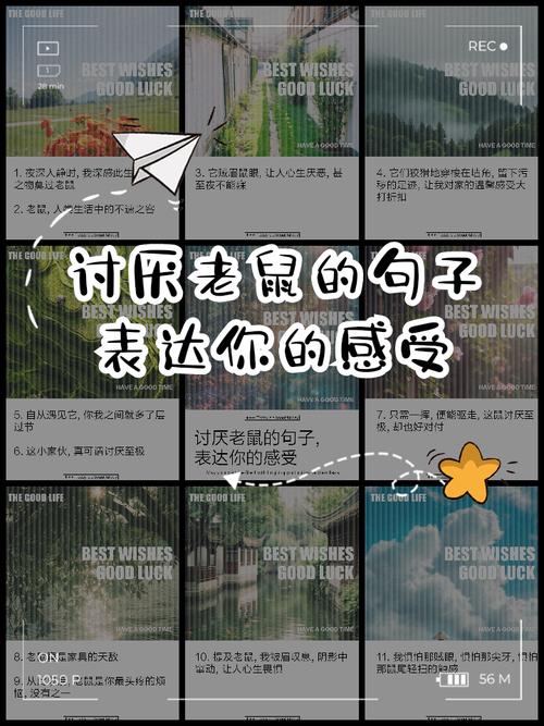 贼眉鼠眼打一生肖谜底:贼眉鼠眼打一生肖是什么