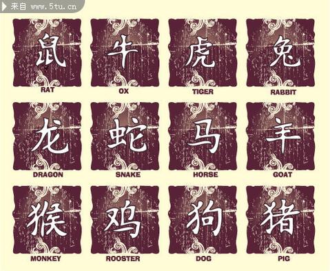 等字打一生肖是什么:等字打一生肖是什么生肖