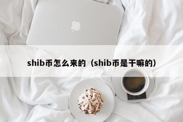 关于shib币100元赚1.6亿的信息