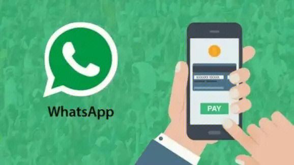 官方whatsapp下载不了,whatsapp安装不了为什么