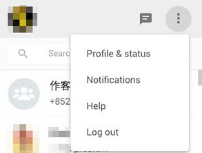 whatsapp有中文版本吗,whatsapp english version