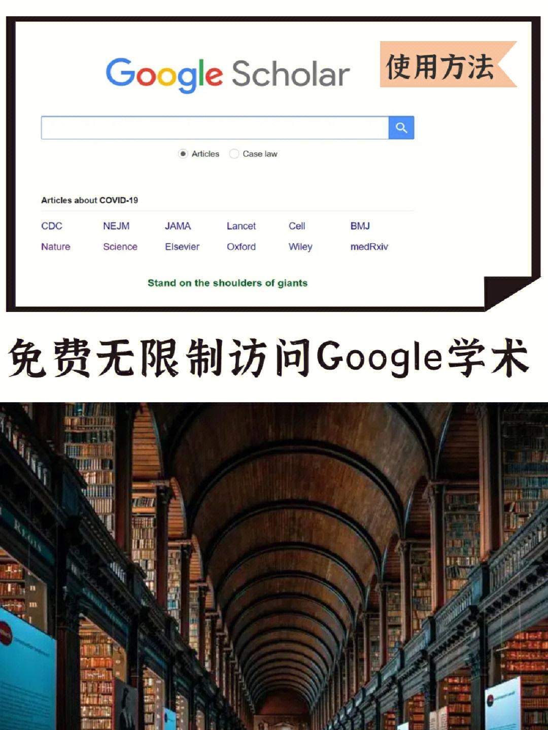 google官网,google官网入口