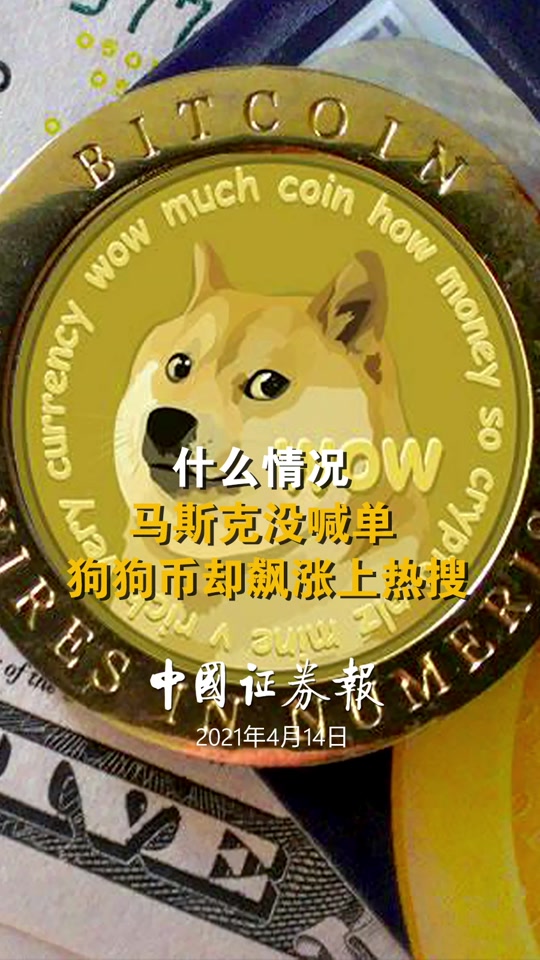 狗币今日行情美元:狗币行情最新价格美元