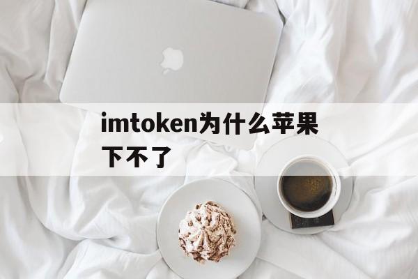 imtoken为什么苹果下不了,imtoken钱包为什么下载不了