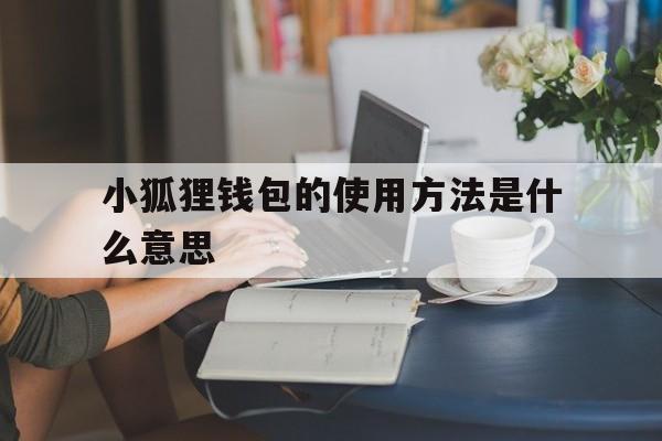 小狐狸钱包的使用方法是什么意思,小狐狸钱包的使用方法是什么意思啊