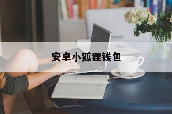 安卓小狐狸钱包,安卓小狐狸钱包怎么用