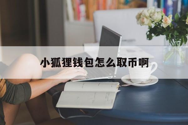 小狐狸钱包怎么取币啊,小狐狸钱包怎么取币啊安全吗