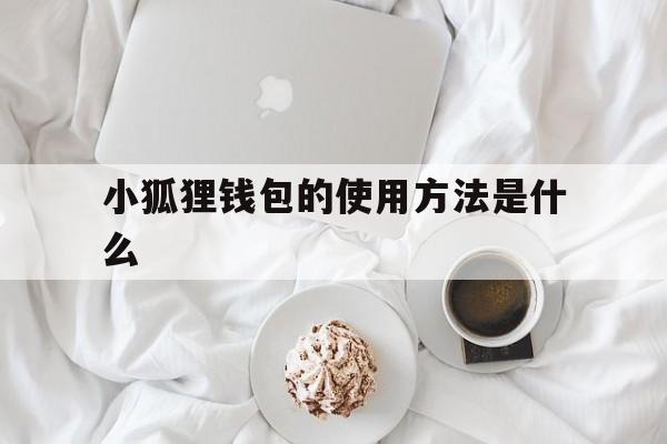 小狐狸钱包的使用方法是什么,小狐狸钱包的使用方法是什么意思