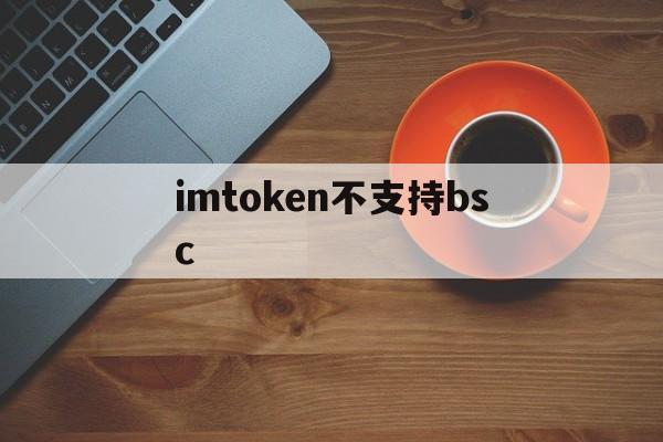 imtoken不支持bsc,imtoken不支持polygon