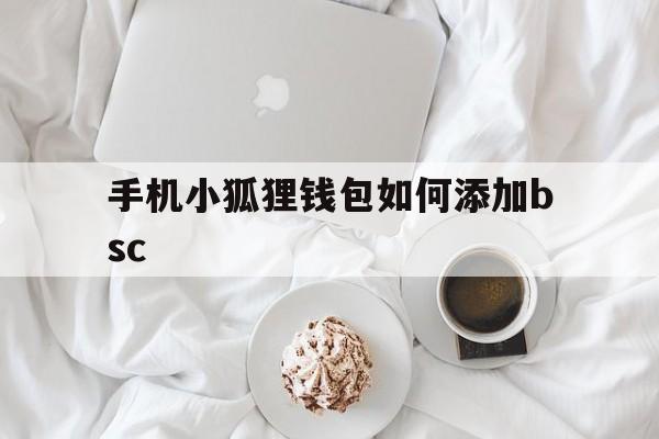 手机小狐狸钱包如何添加bsc,手机小狐狸钱包怎么添加bsc网络