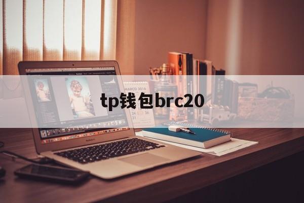 tp钱包brc20,如何在tp钱包找到trc20