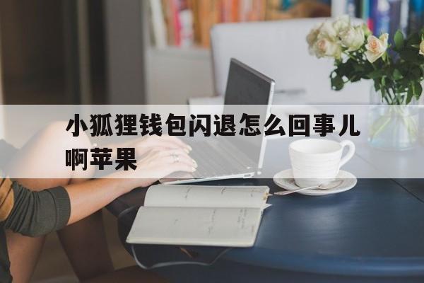 小狐狸钱包闪退怎么回事儿啊苹果,小狐狸钱包闪退怎么回事儿啊苹果版