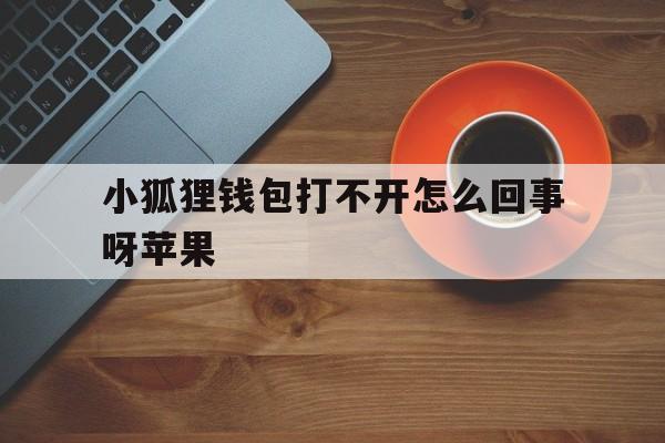 小狐狸钱包打不开怎么回事呀苹果,小狐狸钱包打不开怎么回事呀苹果手机