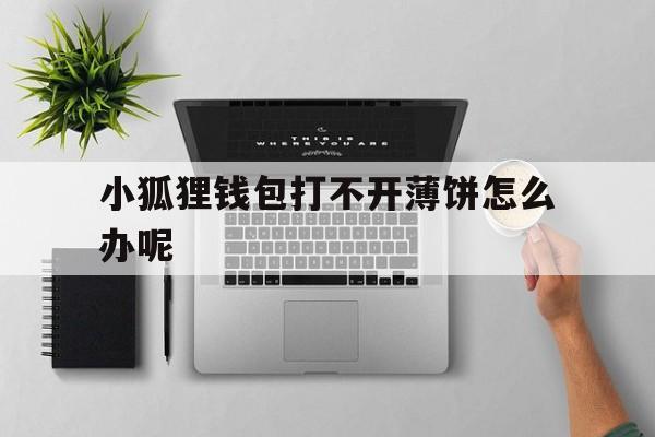 小狐狸钱包打不开薄饼怎么办呢,小狐狸钱包打不开薄饼怎么办呢图片