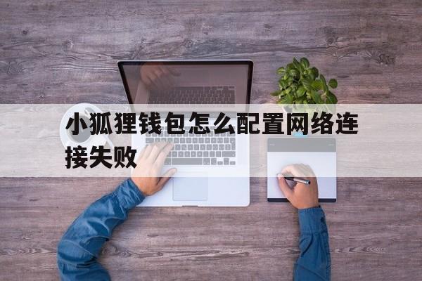 小狐狸钱包怎么配置网络连接失败,小狐狸钱包怎么配置网络连接失败呢